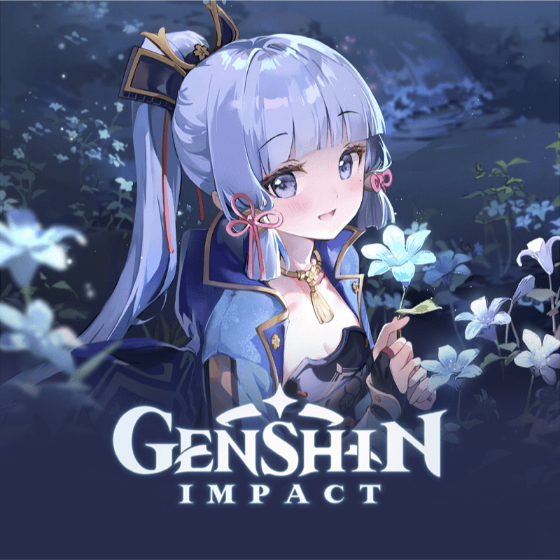 Image of GENSHIN IMPACT